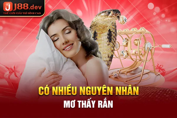 Có nhiều nguyên nhân mơ thấy rắn Có nhiều nguyên nhân mơ thấy rắn