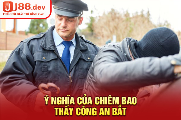 Ý nghĩa của chiêm bao thấy công an bắt Ý nghĩa của chiêm bao thấy công an bắt